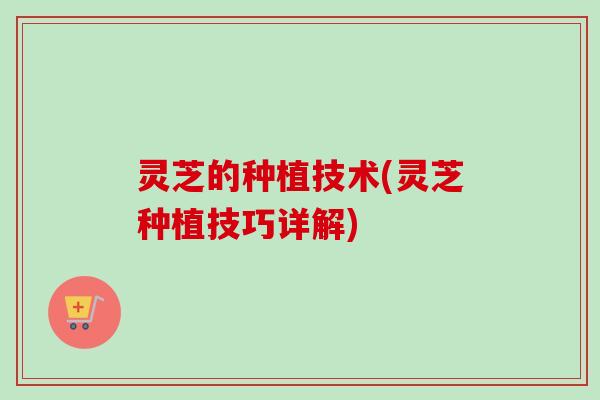 灵芝的种植技术(灵芝种植技巧详解)