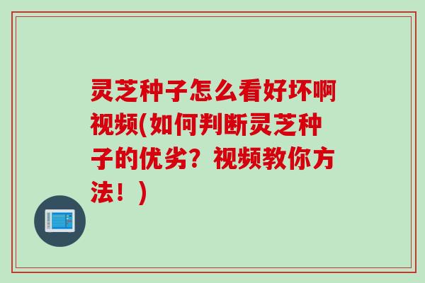 灵芝种子怎么看好坏啊视频(如何判断灵芝种子的优劣？视频教你方法！)