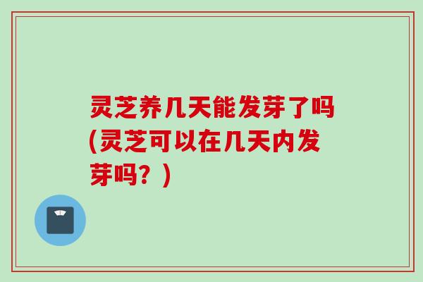 灵芝养几天能发芽了吗(灵芝可以在几天内发芽吗？)