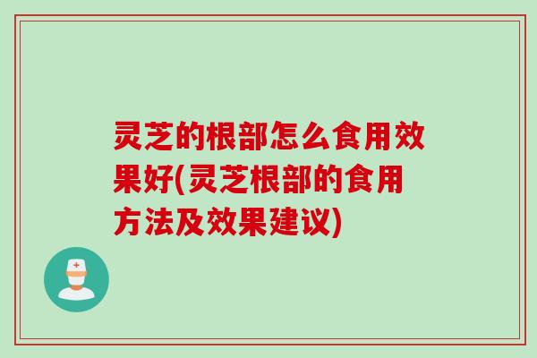 灵芝的根部怎么食用效果好(灵芝根部的食用方法及效果建议)