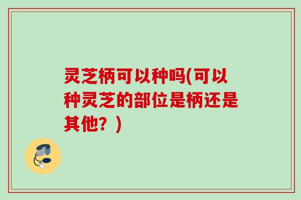 灵芝柄可以种吗(可以种灵芝的部位是柄还是其他？)