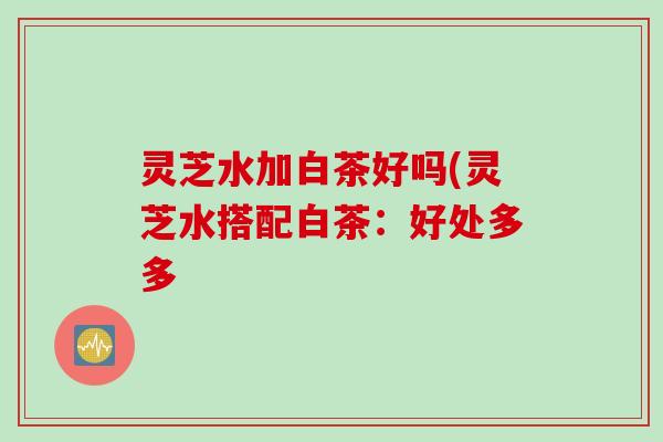 灵芝水加白茶好吗(灵芝水搭配白茶：好处多多