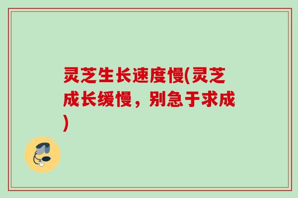 灵芝生长速度慢(灵芝成长缓慢，别急于求成)