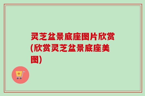 灵芝盆景底座图片欣赏(欣赏灵芝盆景底座美图)