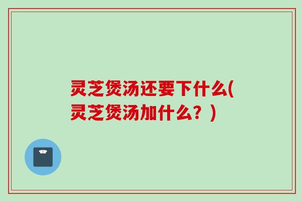 灵芝煲汤还要下什么(灵芝煲汤加什么？)
