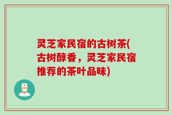 灵芝家民宿的古树茶(古树醇香，灵芝家民宿推荐的茶叶品味)