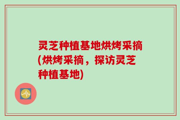 灵芝种植基地烘烤采摘(烘烤采摘，探访灵芝种植基地)