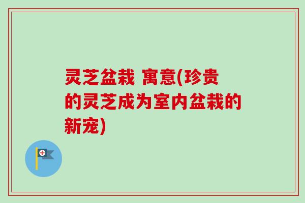 灵芝盆栽 寓意(珍贵的灵芝成为室内盆栽的新宠)