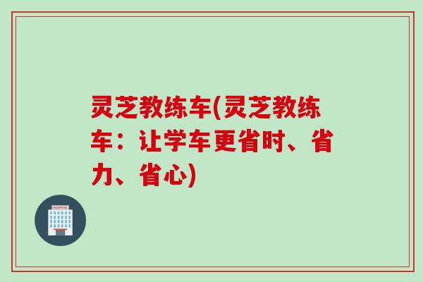 灵芝教练车(灵芝教练车：让学车更省时、省力、省心)