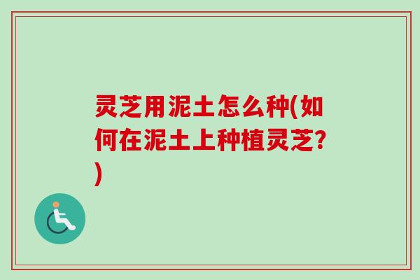 灵芝用泥土怎么种(如何在泥土上种植灵芝？)