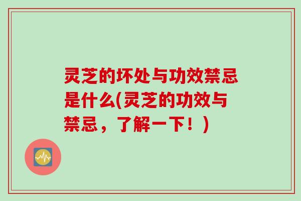 灵芝的坏处与功效禁忌是什么(灵芝的功效与禁忌，了解一下！)