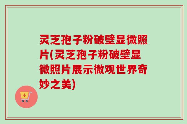 灵芝孢子粉破壁显微照片(灵芝孢子粉破壁显微照片展示微观世界奇妙之美)