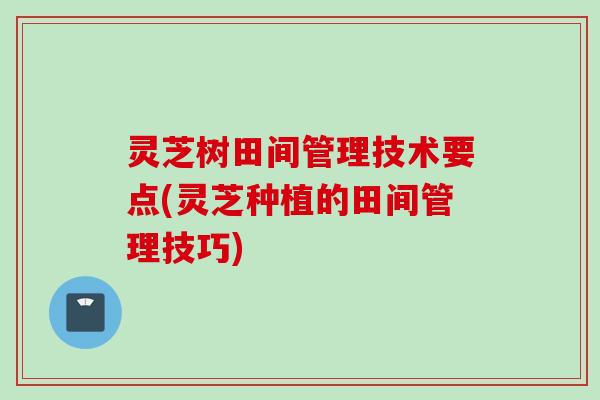 灵芝树田间管理技术要点(灵芝种植的田间管理技巧)
