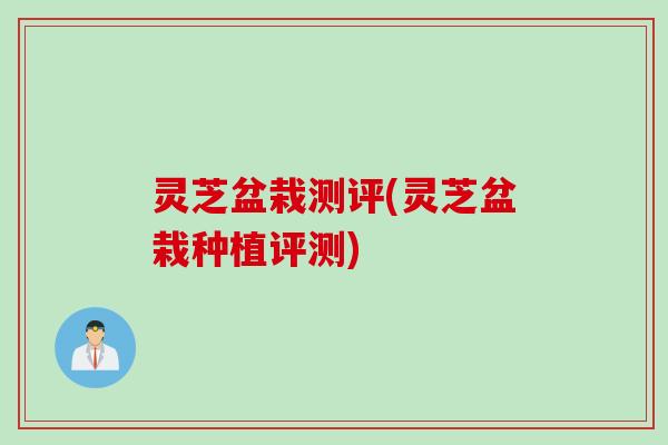 灵芝盆栽测评(灵芝盆栽种植评测)