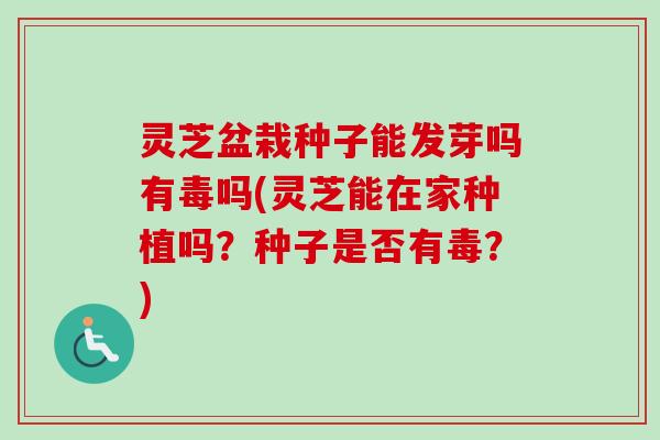 灵芝盆栽种子能发芽吗有毒吗(灵芝能在家种植吗？种子是否有毒？)