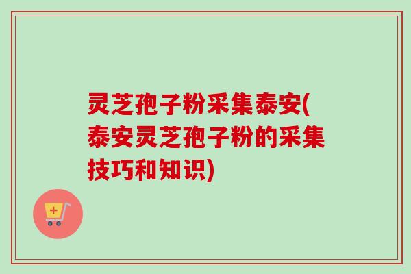 灵芝孢子粉采集泰安(泰安灵芝孢子粉的采集技巧和知识)