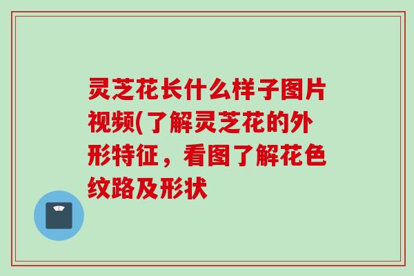 灵芝花长什么样子图片视频(了解灵芝花的外形特征，看图了解花色纹路及形状