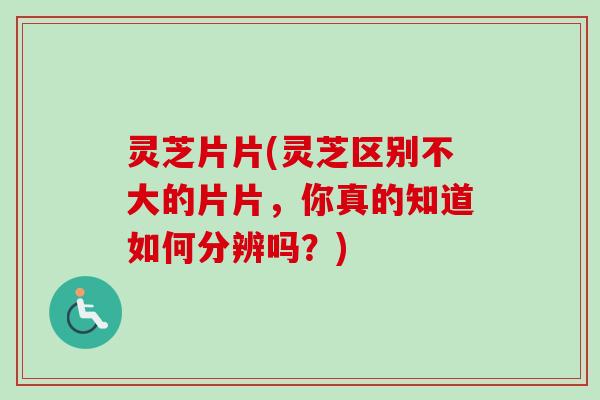 灵芝片片(灵芝区别不大的片片，你真的知道如何分辨吗？)