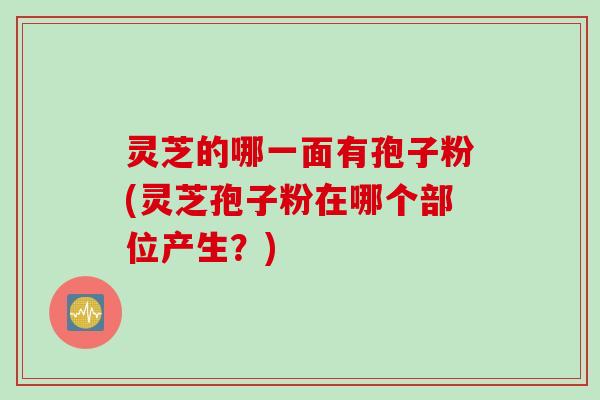 灵芝的哪一面有孢子粉(灵芝孢子粉在哪个部位产生？)