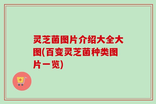 灵芝菌图片介绍大全大图(百变灵芝菌种类图片一览)