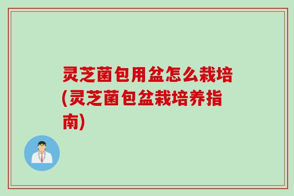 灵芝菌包用盆怎么栽培(灵芝菌包盆栽培养指南)