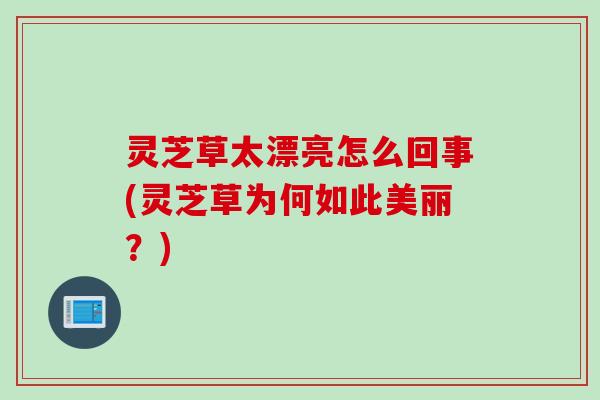 灵芝草太漂亮怎么回事(灵芝草为何如此美丽？)