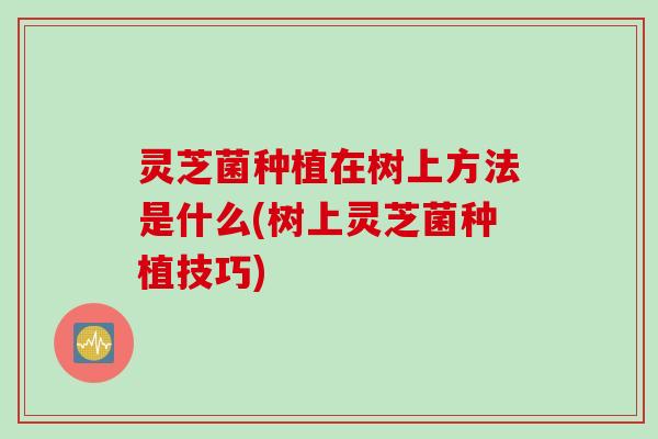 灵芝菌种植在树上方法是什么(树上灵芝菌种植技巧)