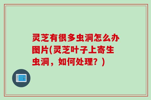 灵芝有很多虫洞怎么办图片(灵芝叶子上寄生虫洞，如何处理？)