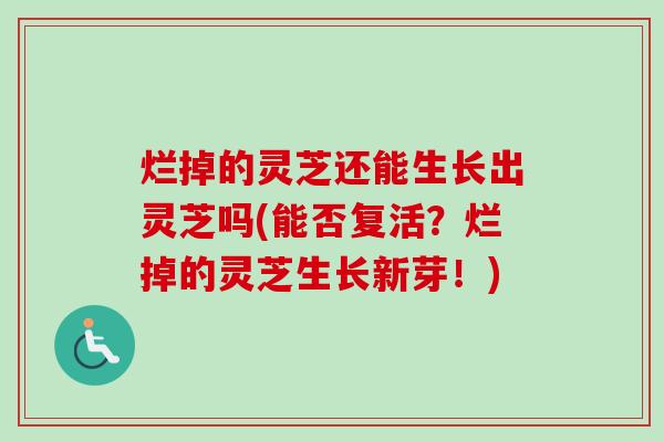 烂掉的灵芝还能生长出灵芝吗(能否复活？烂掉的灵芝生长新芽！)