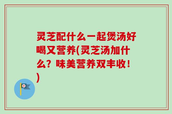 灵芝配什么一起煲汤好喝又营养(灵芝汤加什么？味美营养双丰收！)