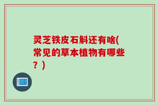 灵芝铁皮石斛还有啥(常见的草本植物有哪些？)