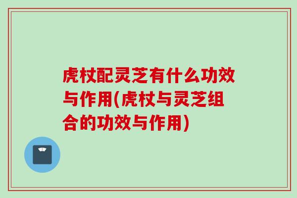 虎杖配灵芝有什么功效与作用(虎杖与灵芝组合的功效与作用)