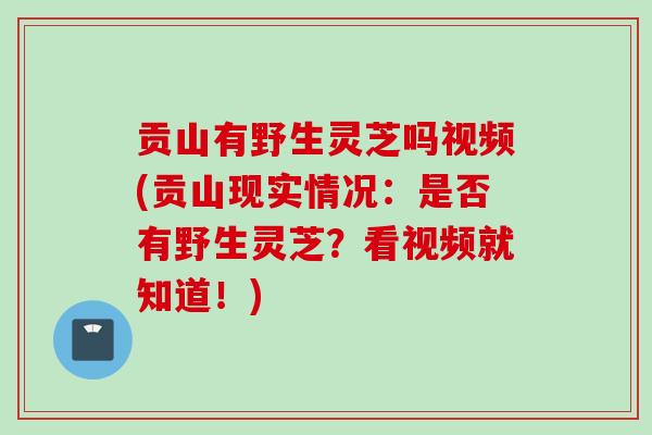 贡山有野生灵芝吗视频(贡山现实情况：是否有野生灵芝？看视频就知道！)