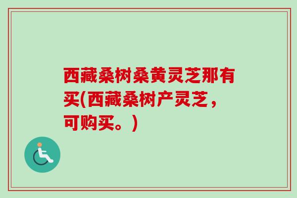 西藏桑树桑黄灵芝那有买(西藏桑树产灵芝，可购买。)