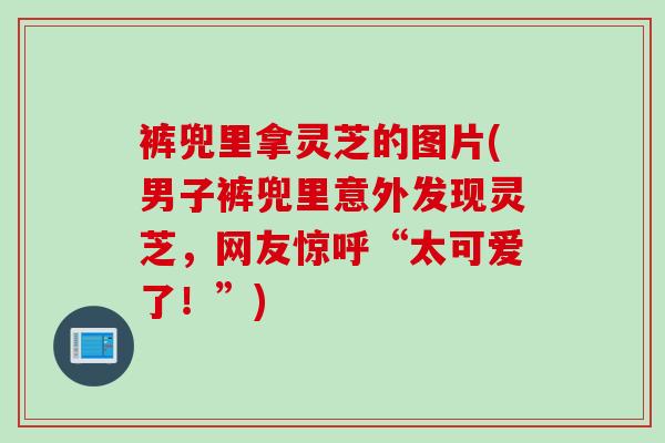 裤兜里拿灵芝的图片(男子裤兜里意外发现灵芝，网友惊呼“太可爱了！”)