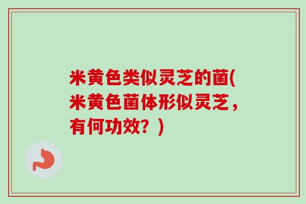 米黄色类似灵芝的菌(米黄色菌体形似灵芝，有何功效？)