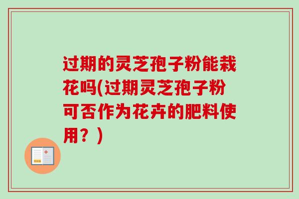 过期的灵芝孢子粉能栽花吗(过期灵芝孢子粉可否作为花卉的肥料使用？)