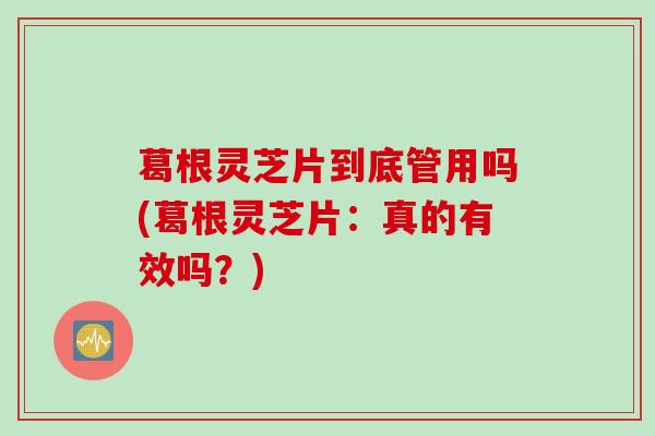葛根灵芝片到底管用吗(葛根灵芝片：真的有效吗？)