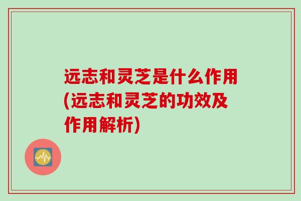 远志和灵芝是什么作用(远志和灵芝的功效及作用解析)