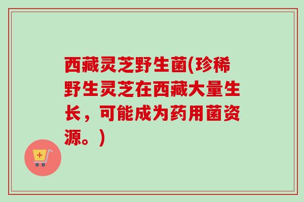 西藏灵芝野生菌(珍稀野生灵芝在西藏大量生长，可能成为药用菌资源。)
