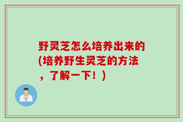 野灵芝怎么培养出来的(培养野生灵芝的方法，了解一下！)