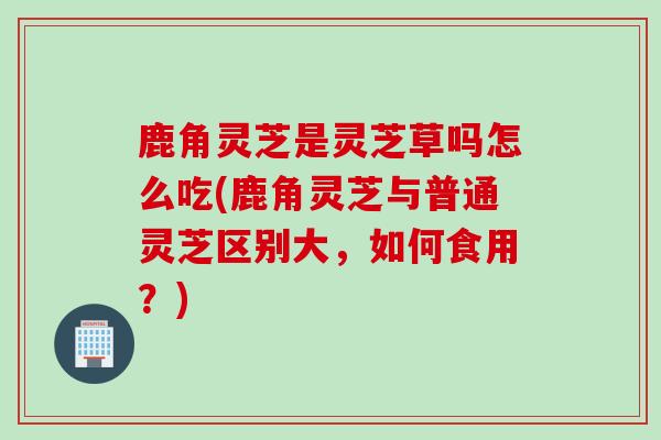 鹿角灵芝是灵芝草吗怎么吃(鹿角灵芝与普通灵芝区别大，如何食用？)