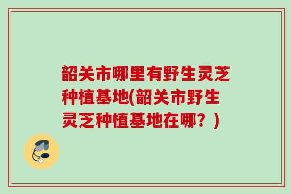 韶关市哪里有野生灵芝种植基地(韶关市野生灵芝种植基地在哪？)