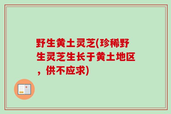 野生黄土灵芝(珍稀野生灵芝生长于黄土地区，供不应求)