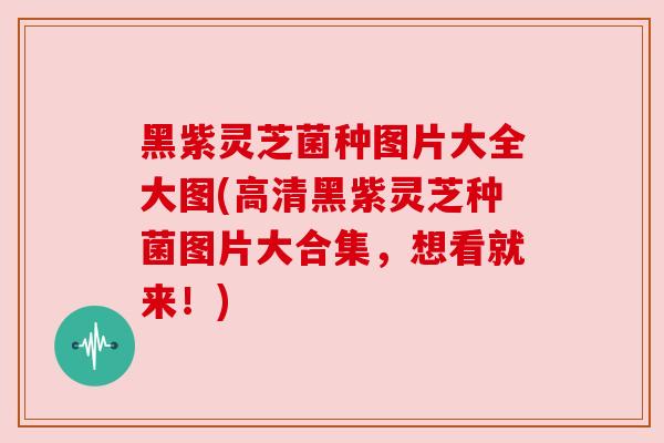 黑紫灵芝菌种图片大全大图(高清黑紫灵芝种菌图片大合集，想看就来！)