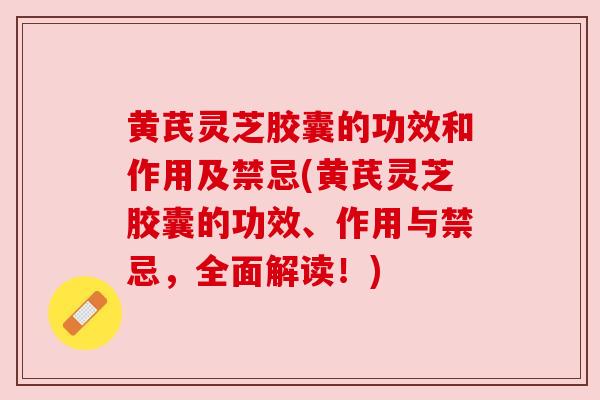 黄芪灵芝胶囊的功效和作用及禁忌(黄芪灵芝胶囊的功效、作用与禁忌，全面解读！)