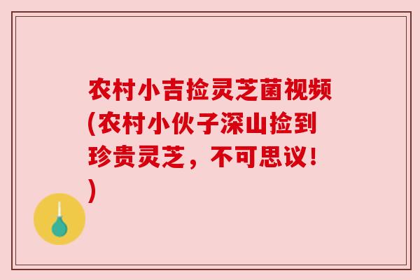 农村小吉捡灵芝菌视频(农村小伙子深山捡到珍贵灵芝，不可思议！)