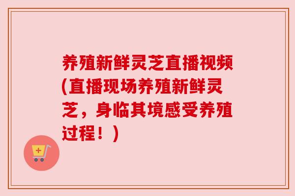 养殖新鲜灵芝直播视频(直播现场养殖新鲜灵芝，身临其境感受养殖过程！)