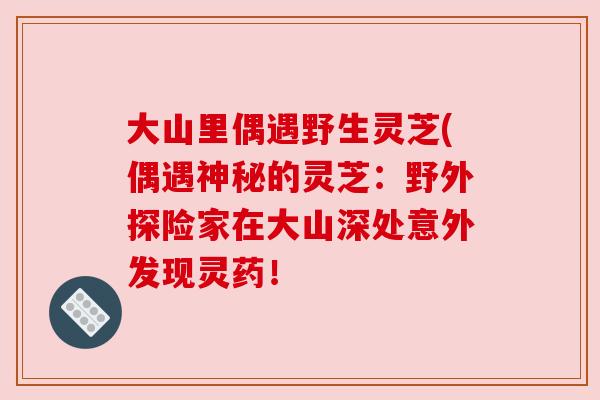 大山里偶遇野生灵芝(偶遇神秘的灵芝：野外探险家在大山深处意外发现灵药！