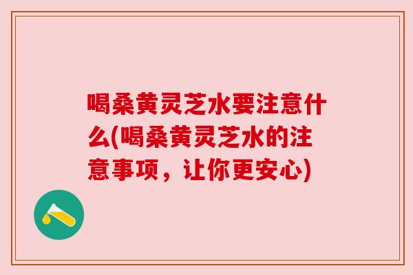 喝桑黄灵芝水要注意什么(喝桑黄灵芝水的注意事项，让你更安心)